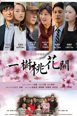 一樹桃花開王志文版第01集