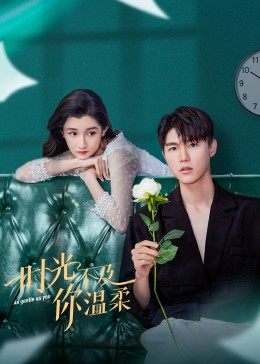 時(shí)光不及你溫柔1