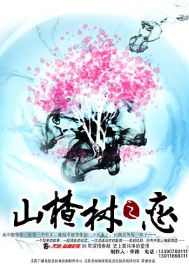 山楂樹之戀2011第01集