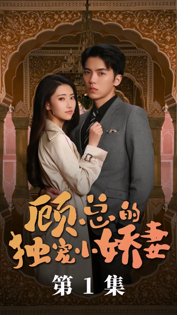 顧總的獨(dú)寵小嬌妻第01集