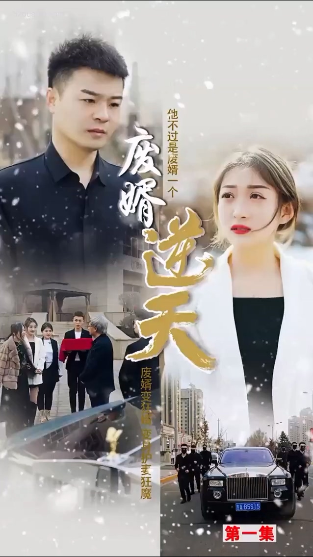廢婿逆天合集版第01集(大結(jié)局)