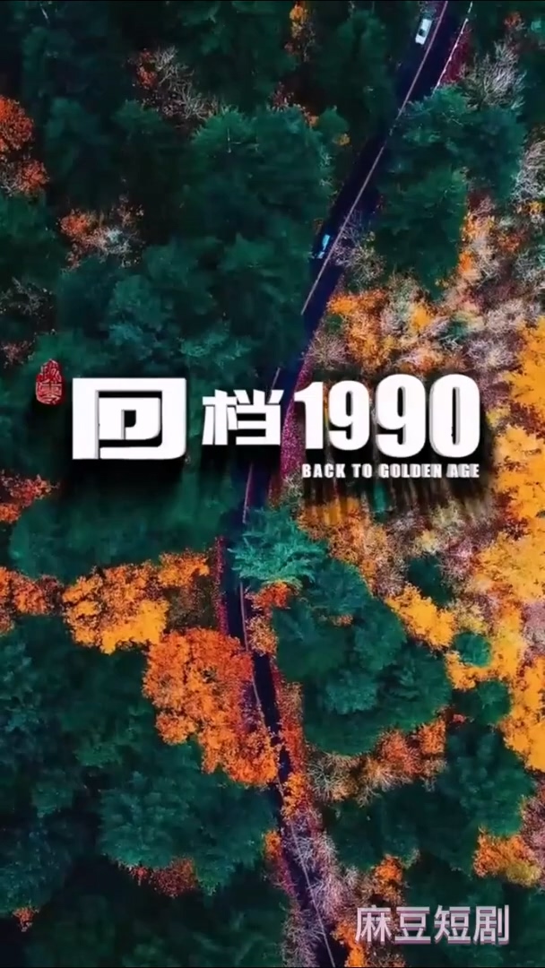 回檔1990合集版第01集(大結(jié)局)