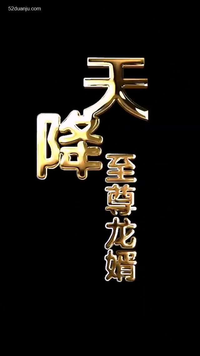天降至尊龍婿合集版第01集(大結(jié)局)